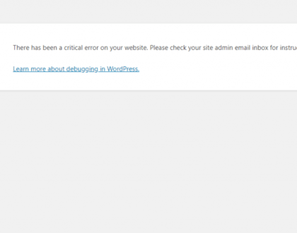 critical-error-on-website-wordpress-1024x453