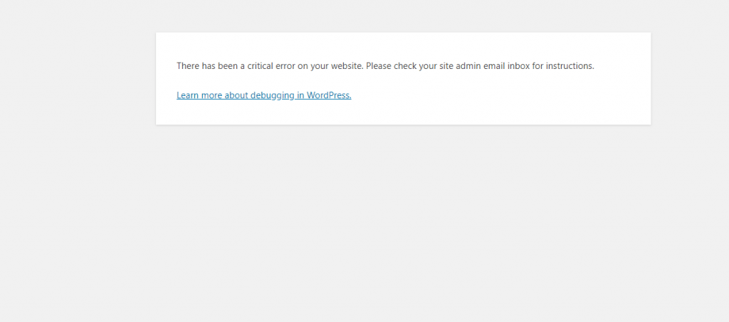 critical-error-on-website-wordpress-1024x453